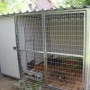 COMBINO Kutya kennel, 3x2m alapterület, padozat nélkül