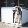 Fűthető kutyaház, infrával, Thermo Renato, "XL" belméret