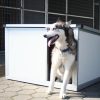 Fűthető kutyaház infrával - Thermo Renato "XL"