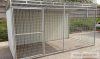 Lucas Kutya kennel, 4x2m alapterület, padozat nélkül