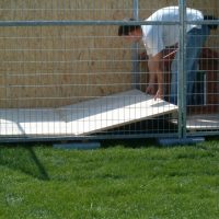 Kutyafekhely fapadozat