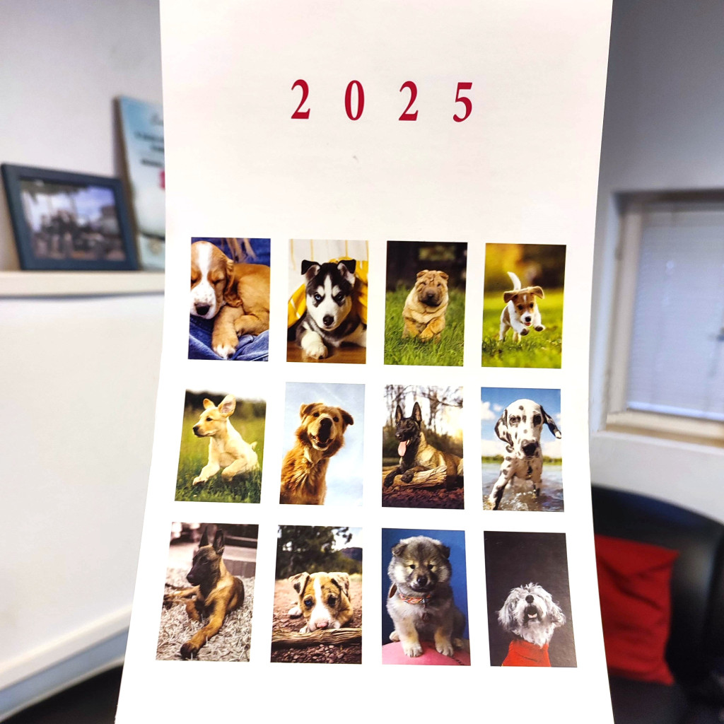 Image of 2025 - Kiskutya naptár